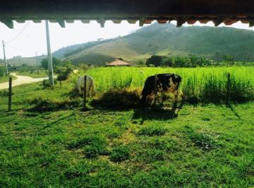 Imagem 1 · Fazenda