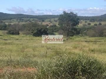 Imagem 1 · Fazenda