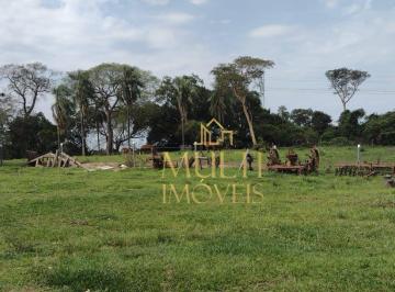 Imagem 1 · Fazenda