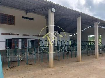 Imagem 1 · Fazenda