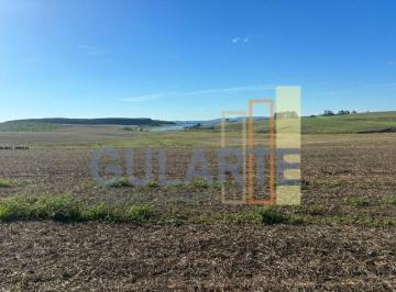 Imagem 1 · Fazenda