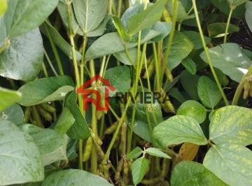 Imagem 1 · Fazenda