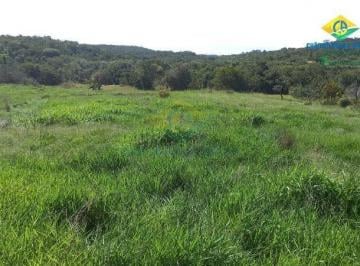 Imagem 1 · Fazenda