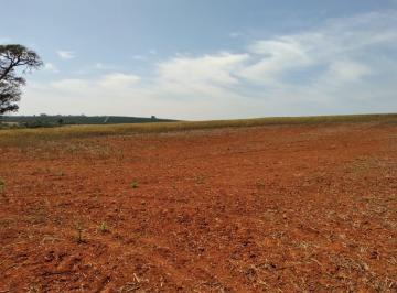 Imagem 1 · Fazenda