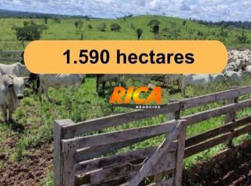 Imagem 1 · Fazenda