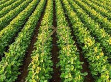 Imagem 1 · Fazenda