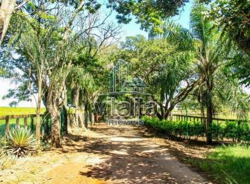 Imagem 1 · Fazenda