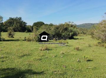 Imagem 1 · Fazenda