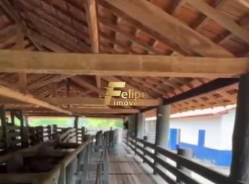 Imagem 1 · Fazenda