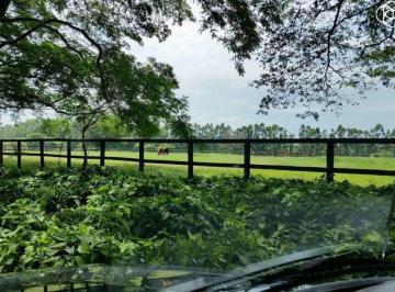 Imagem 1 · Haras e Área Rural Padrão