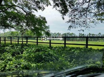 Imagem 1 · Haras e Área Rural Padrão