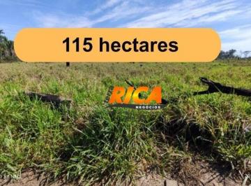 Imagem 1 · Fazenda