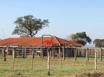 Imagem 1 · Fazenda