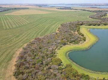 Imagem 1 · Fazenda para venda em Sertaneja, Sertaneja