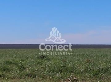 Imagem 1 · Fazenda