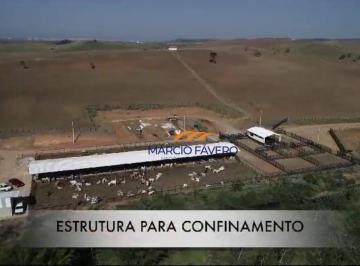 Imagem 1 · Fazenda