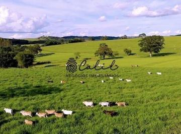 Imagem 1 · Fazenda