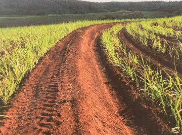 Imagem 1 · Fazenda