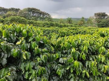 Imagem 1 · Fazenda