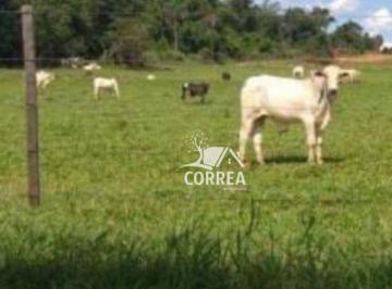 Imagem 1 · Fazenda