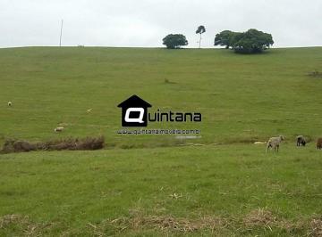 Imagem 1 · Fazenda para venda em Centro, Santana da Boa Vista
