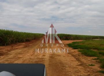 Imagem 1 · Fazenda