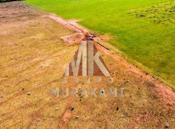 Imagem 1 · Fazenda