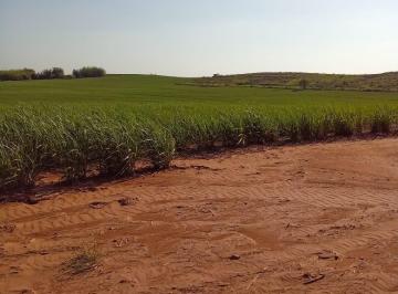 Imagem 1 · Fazenda