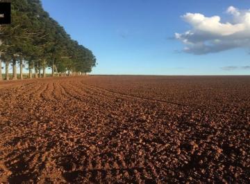 Imagem 1 · Fazenda
