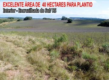 Imagem 1 · Fazenda