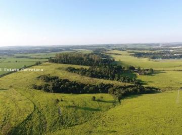 Imagem 1 · Fazenda