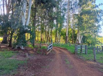 Imagem 1 · Fazenda