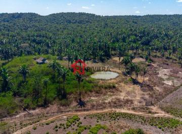 Imagem 1 · Fazenda