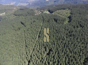 Imagem 1 · Fazenda