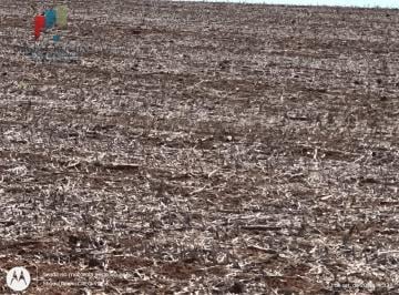 Imagem 1 · Fazenda