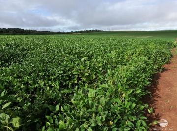 Imagem 1 · Fazenda