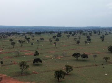 Imagem 1 · Fazenda