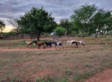 Imagem 1 · Fazenda