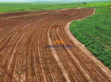 Imagem 1 · Fazenda