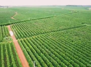 Imagem 1 · Fazenda