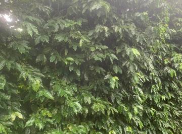Imagem 1 · Fazenda