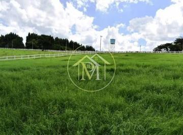 Imagem 1 · Fazenda