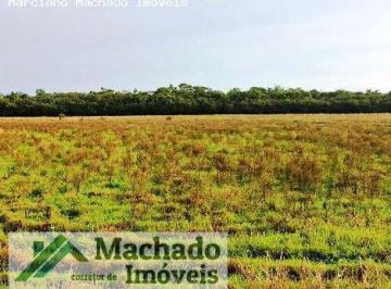 Imagem 1 · Fazenda