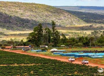 Imagem 1 · Fazenda