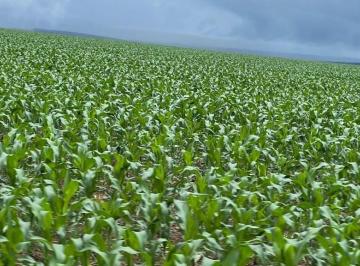Imagem 1 · Fazenda