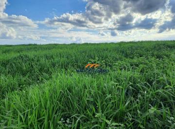 Imagem 1 · Fazenda