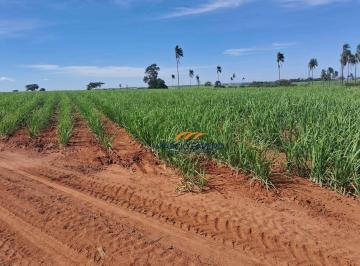 Imagem 1 · Fazenda