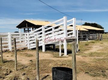 Imagem 1 · Fazenda