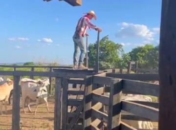 Imagem 1 · Fazenda