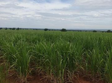 Imagem 1 · Fazenda